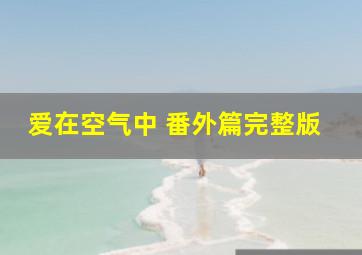 爱在空气中 番外篇完整版